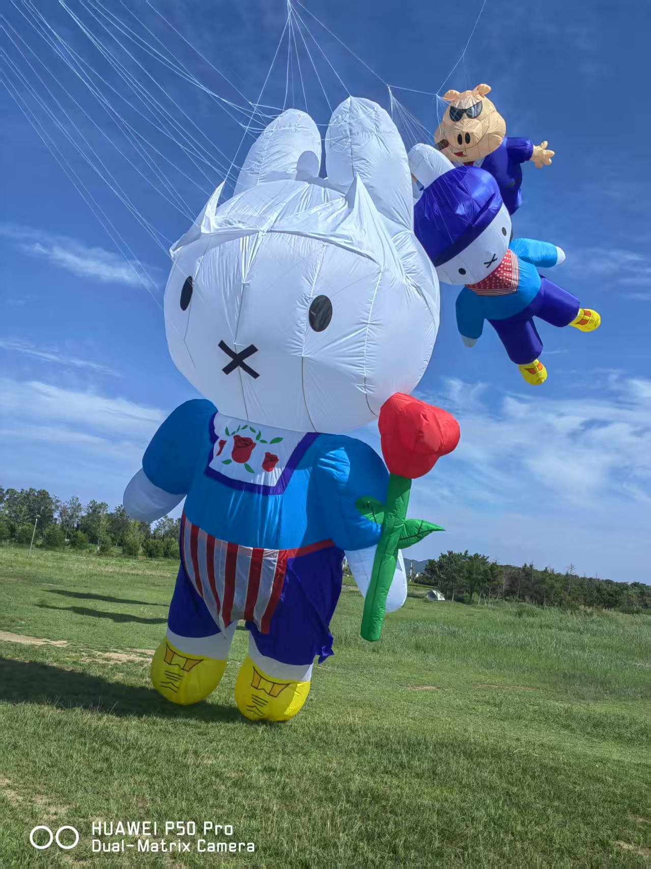 株洲市儿童风筝定制风筝商业放飞 - 厂家